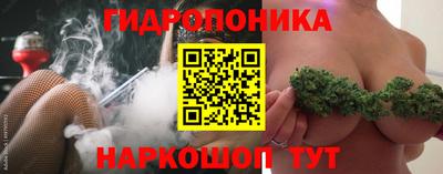 кокс Гатчина