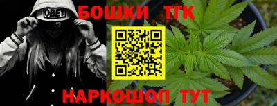гашик Гай