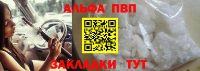 кокс Гатчина