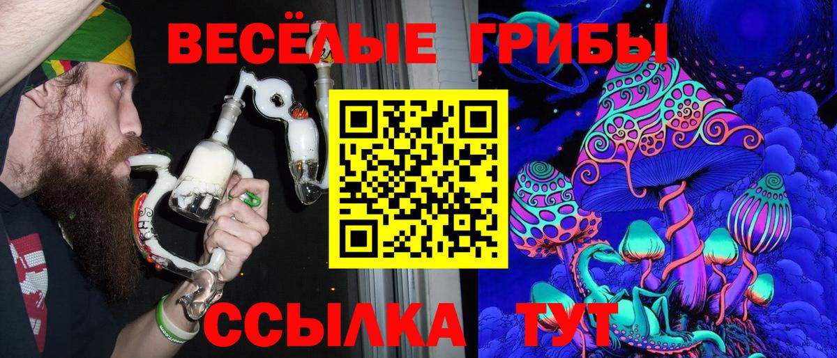 Псилоцибиновые грибы мицелий Нижневартовск