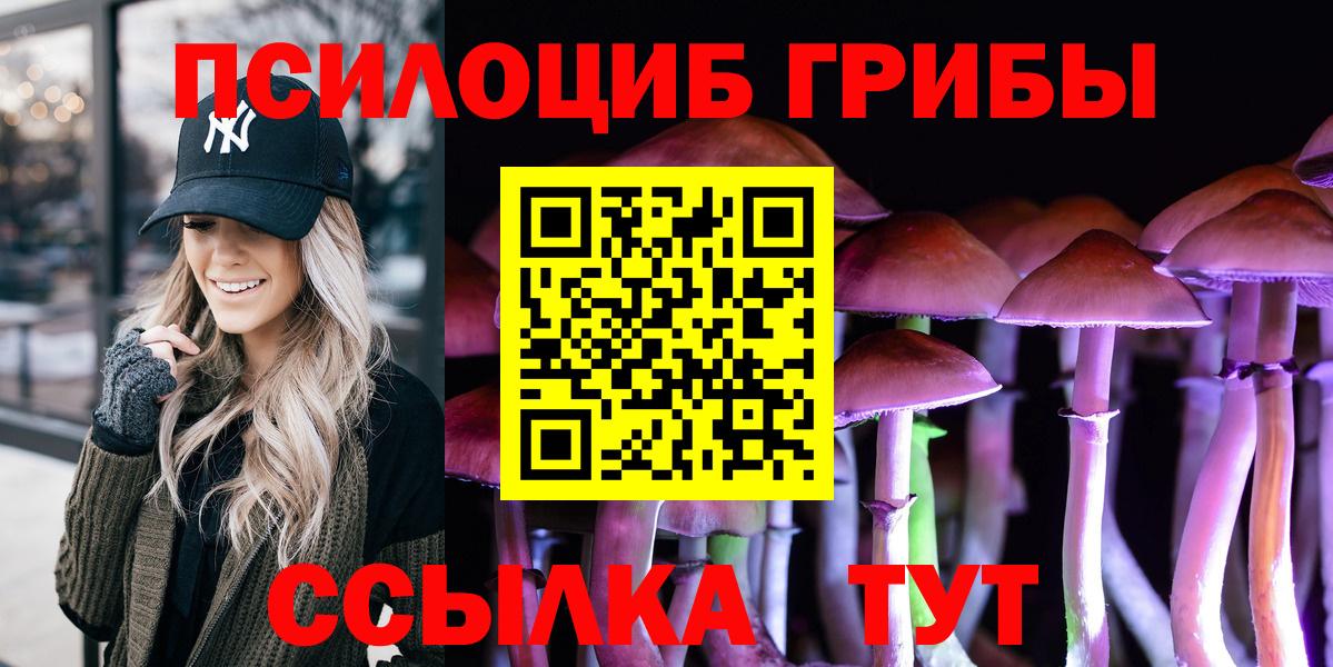 Псилоцибиновые грибы Magic Shrooms  купить   Нижневартовск  Вход с VPN 